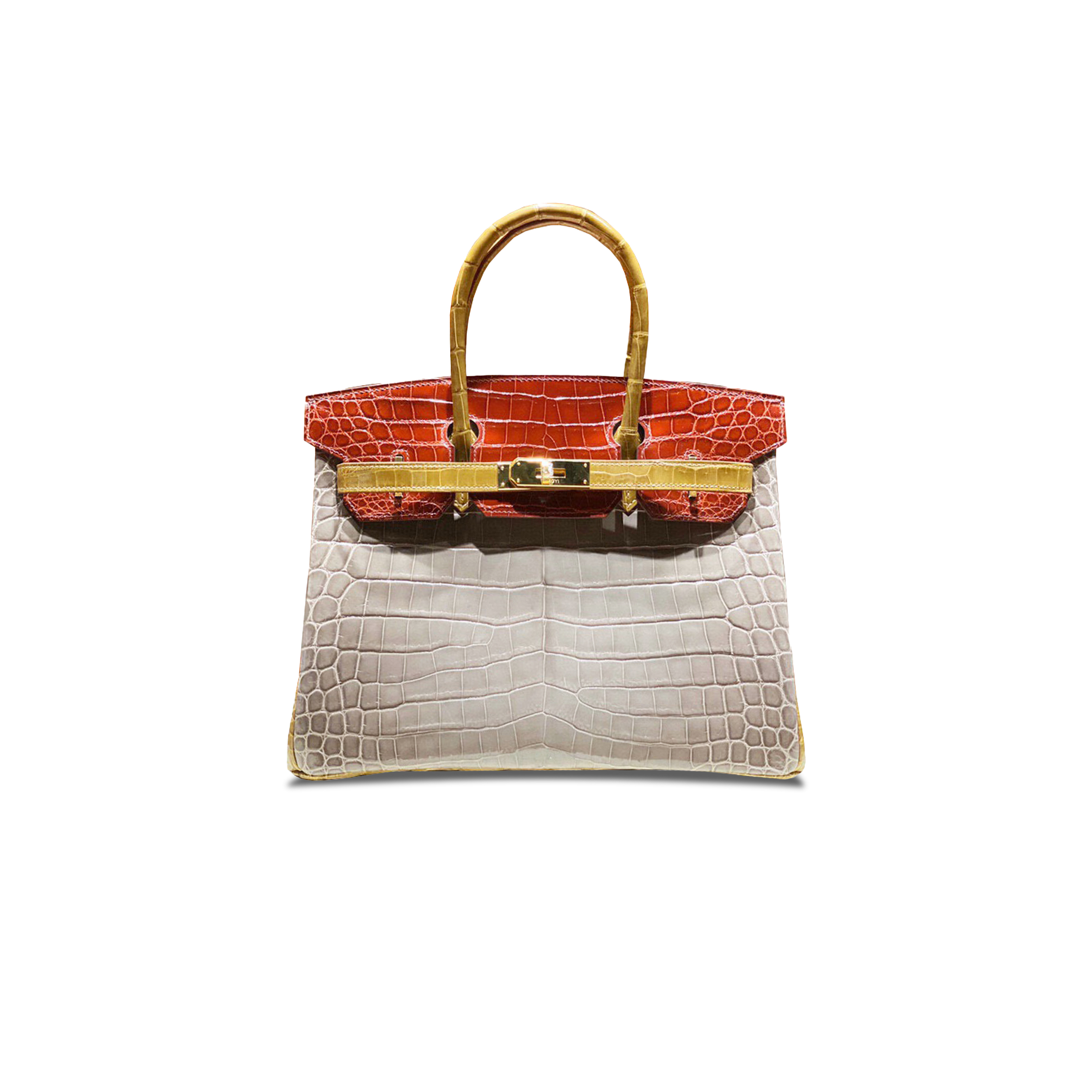 HERMÈS MASTER BIRKIN 25 CROCODILE LEATHER TRICOLOR BAG GOLD BUCKLE H041354CK56 (25*20*13cm)